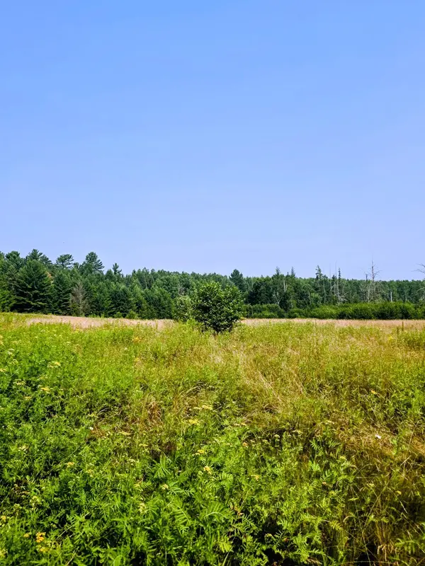 TBD County Road 440, Coleraine, MN 55722