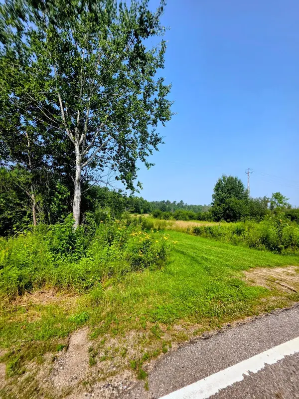 TBD County Road 440, Coleraine, MN 55722