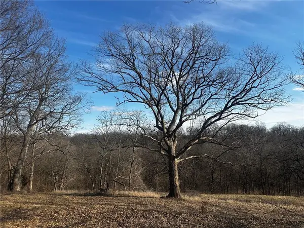 12699 Shoemaker RD, Excelsior Springs, MO 64024