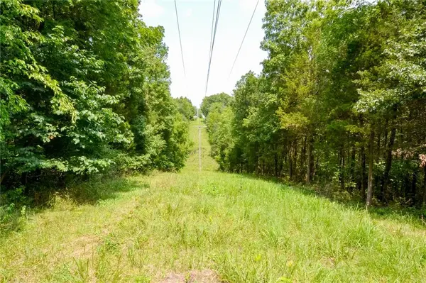 000 US Hwy 65 N/A, Cross Timbers, MO 65634