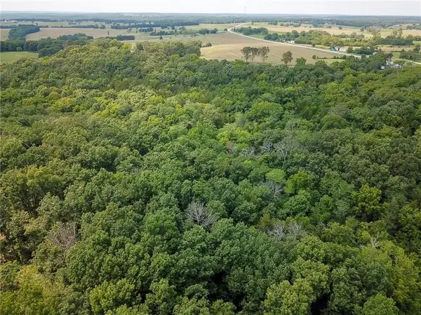 000 US Hwy 65 N/A, Cross Timbers, MO 65634