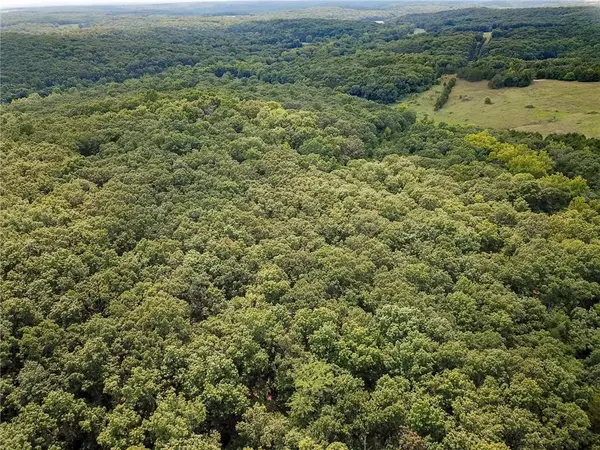 000 US Hwy 65 N/A, Cross Timbers, MO 65634