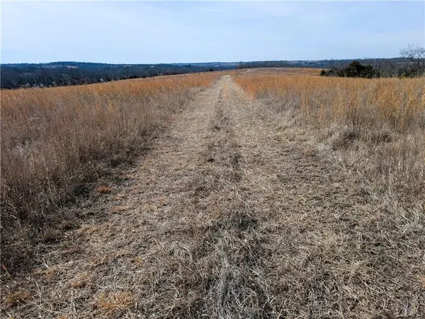 Tract 1 NE State B HWY Spickard, MO 64673