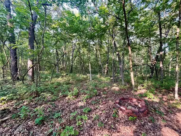 526 SE 1151 RD, Tightwad, MO 64735