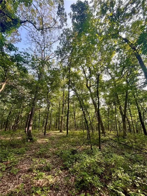 526 SE 1151 RD, Tightwad, MO 64735