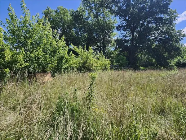 Walnut ST, Newtown, MO 64667