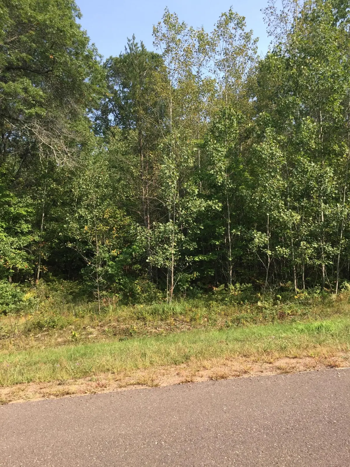 Lot 32 Shady LN, Siren, WI 54872