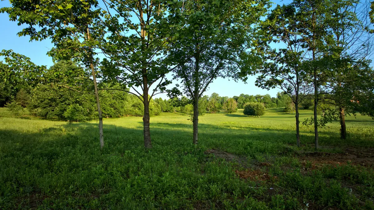 0 Keystone Drive, Pleasant View, TN 37146