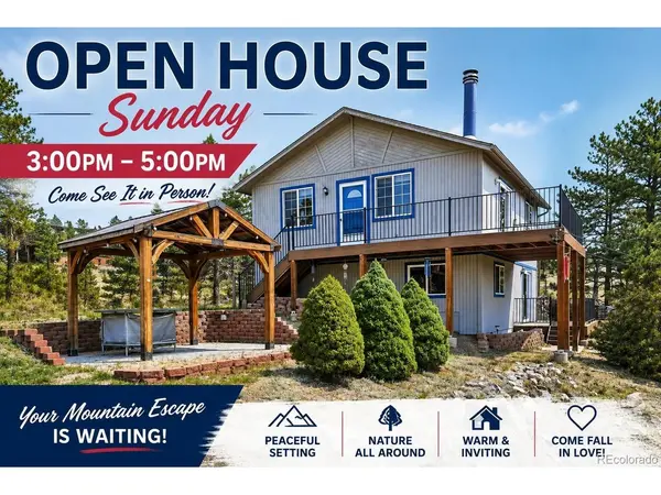 461 Yellow Pine, Bailey, CO 80421