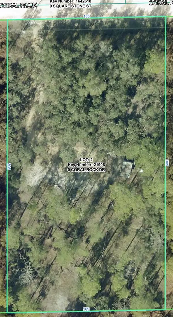 33258 CORAL ROCK DR, Webster, FL 33597