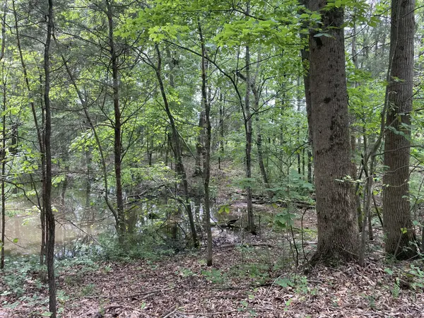 0 Ridge Rd, Cedar Hill, TN 37032