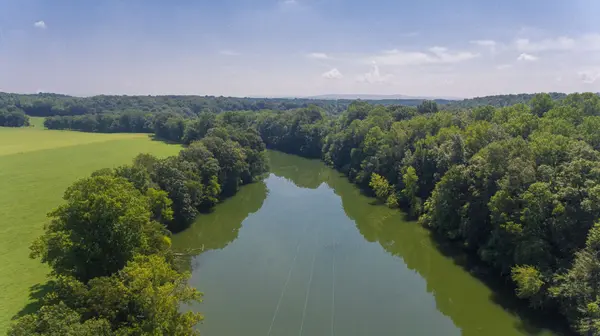1453 Honey Ln, Estill Springs, TN 37330