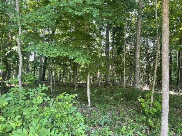 0 Laurel Crown Rd, Manchester, TN 37355
