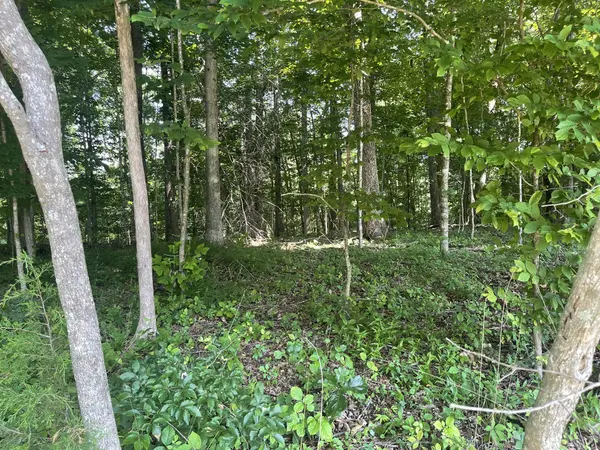 0 Laurel Crown Rd, Manchester, TN 37355