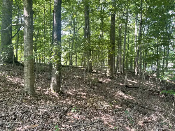 0 Laurel Crown Rd, Manchester, TN 37355