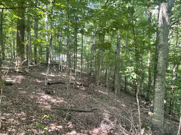 0 Laurel Crown Rd, Manchester, TN 37355
