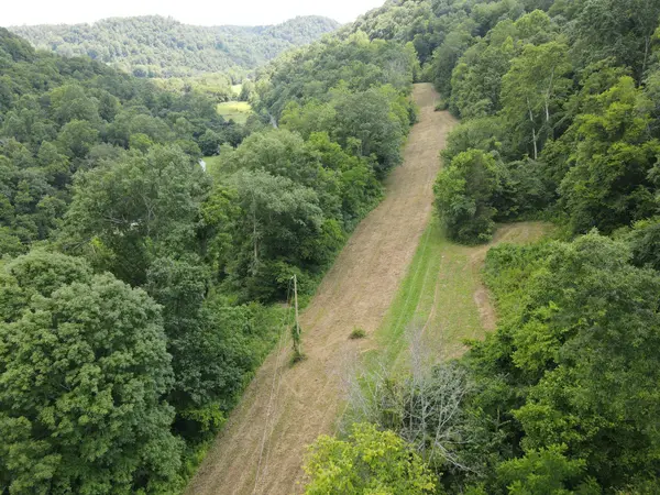 391 Difficult Rd, Pleasant Shade, TN 37145
