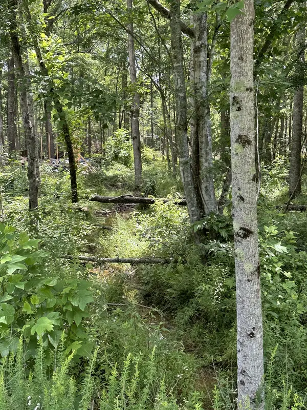 81 Meadow Ln, Altamont, TN 37301