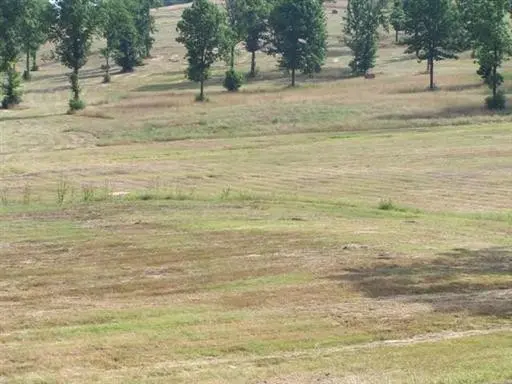 0 Baker Rd, Columbia, TN 38401