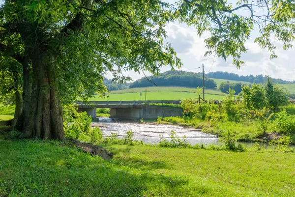 3595 Coffey Branch Rd, Cornersville, TN 37047