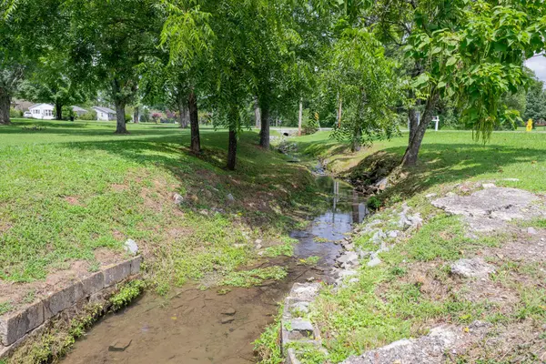 5039 Wilson Pike, Arrington, TN 37014