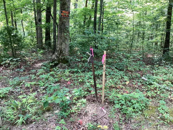 0 Old Natchez Trace, Santa Fe, TN 38482