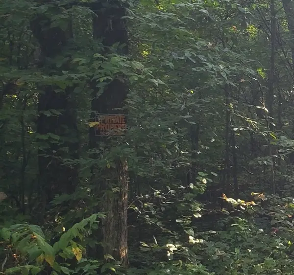 0 Old Natchez Trace, Santa Fe, TN 38482