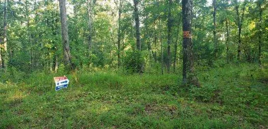 0 Old Natchez Trace, Santa Fe, TN 38482