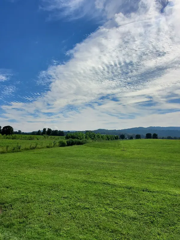 0 Moore Farms Lane, Mc Minnville, TN 37110
