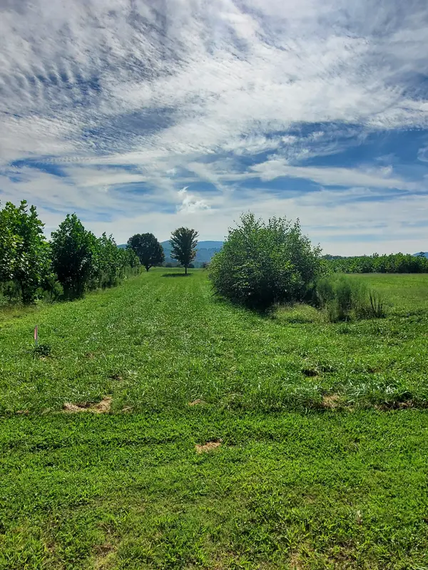 0 Moore Farms Lane, Mc Minnville, TN 37110