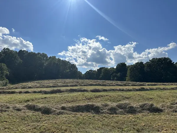 185 William Eden Rd, Westmoreland, TN 37186