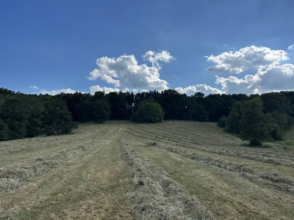 185 William Eden Rd, Westmoreland, TN 37186