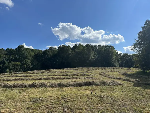 185 William Eden Rd, Westmoreland, TN 37186