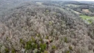 0 Ella West Circle, Lynnville, TN 38472