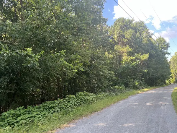 0 Cedar Point Rd, Bumpus Mills, TN 37028