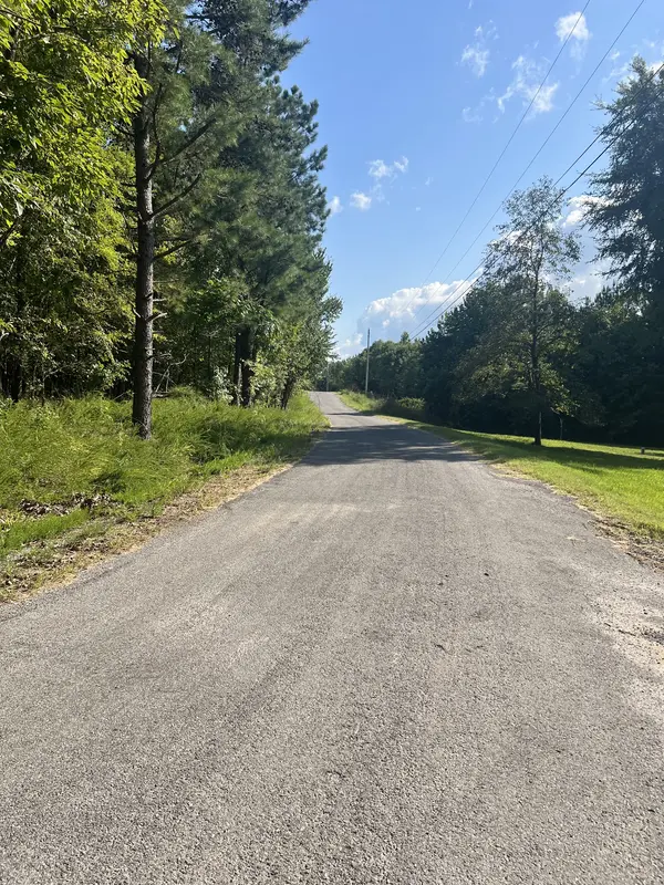 0 Cedar Point Rd, Bumpus Mills, TN 37028