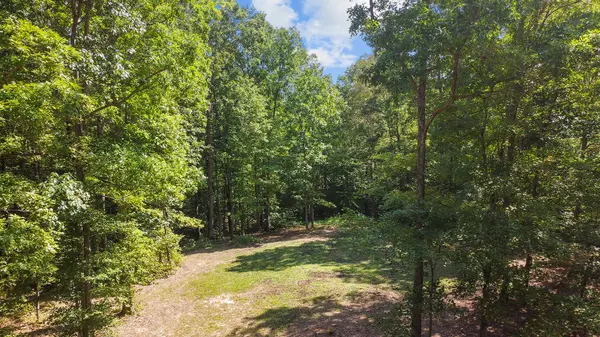 0 Timber Ridge Rd, Charlotte, TN 37036