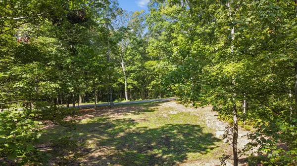 0 Timber Ridge Rd, Charlotte, TN 37036
