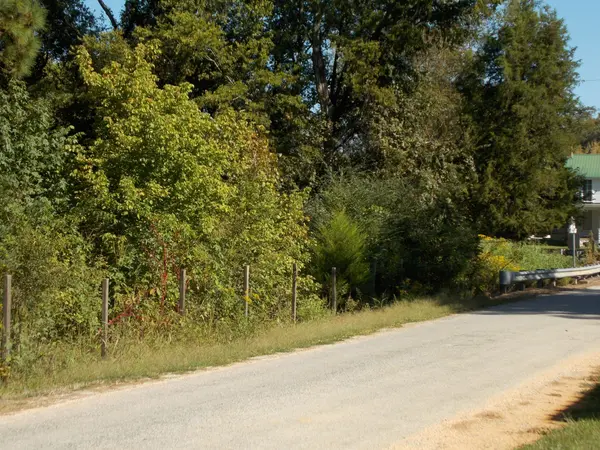 0 Godwin Rd, Linden, TN 37096