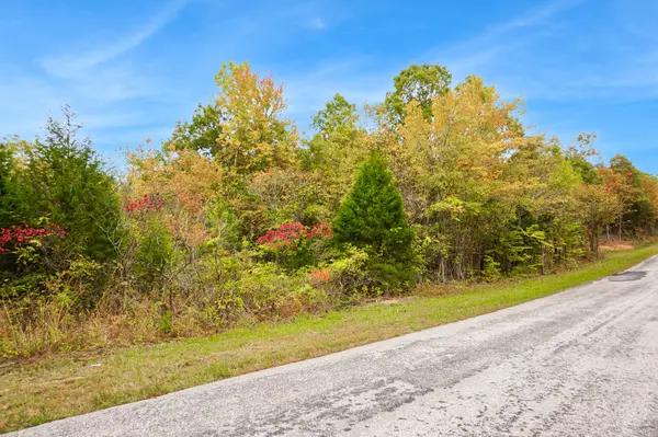 0 Walnut Grove Rd, Dover, TN 37058