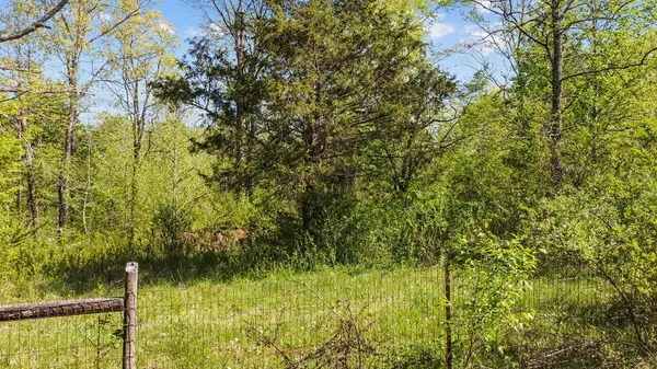 0 Bucksnort Dr, Ashland City, TN 37015