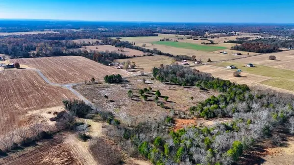 10 Virgil Beasley Rd, Chapel Hill, TN 37034