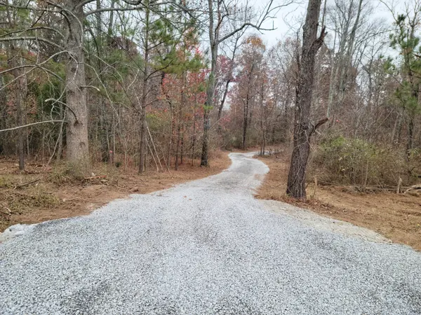 0 Highway 43 #N, Summertown, TN 38483