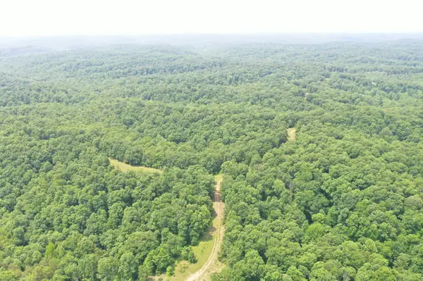 0 Morgan Branch Road, Centerville, TN 37033