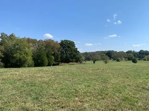 1132 Harsh Ln, Castalian Springs, TN 37031