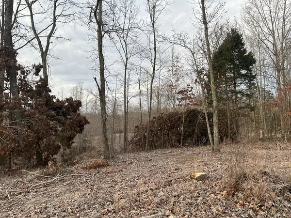 0 Red Oak, Charlotte, TN 37036