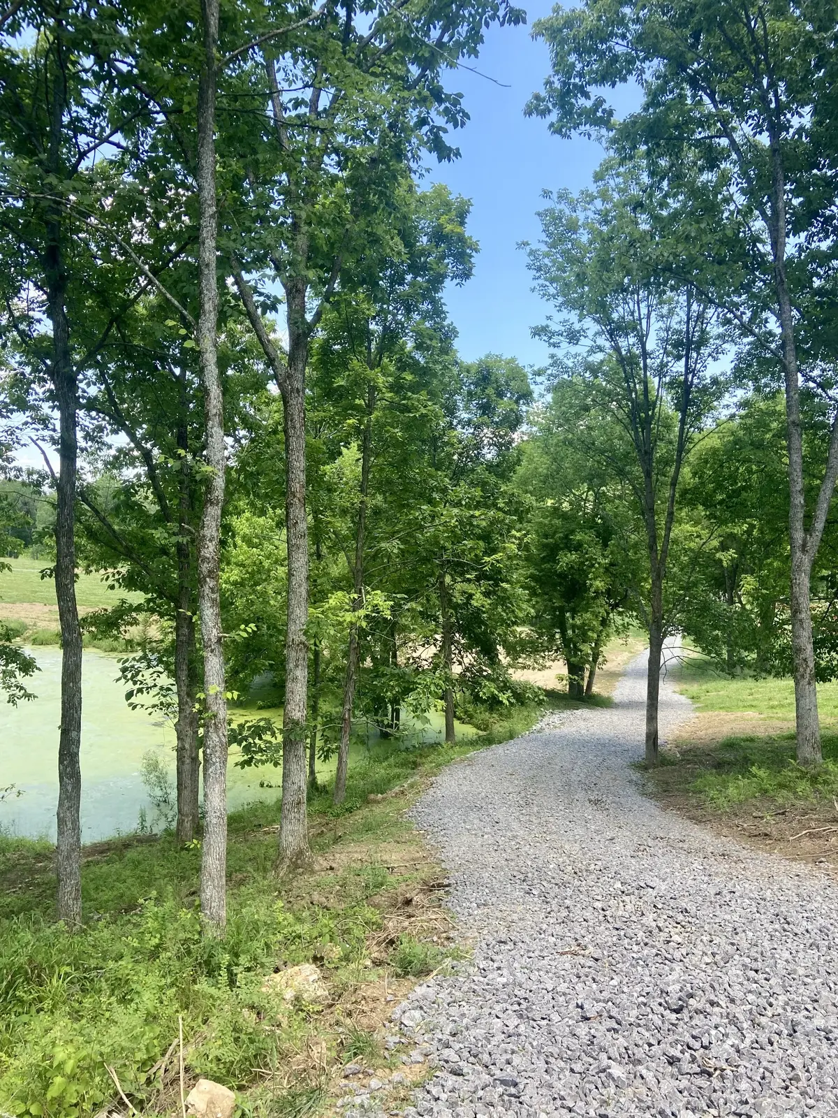 0 McLaughlin Lane, Shelbyville, TN 37160