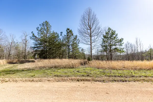 0 9 Mile Ridge Road, Duck River, TN 38454
