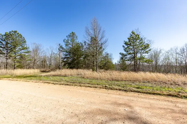 0 9 Mile Ridge Road, Duck River, TN 38454