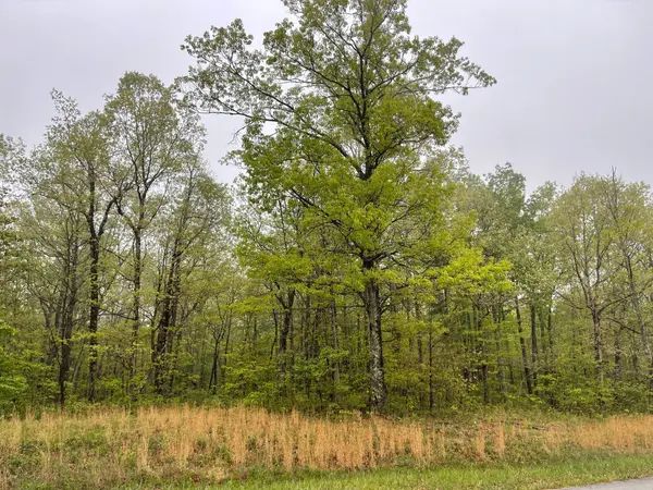 0 Box House Road, Belvidere, TN 37306